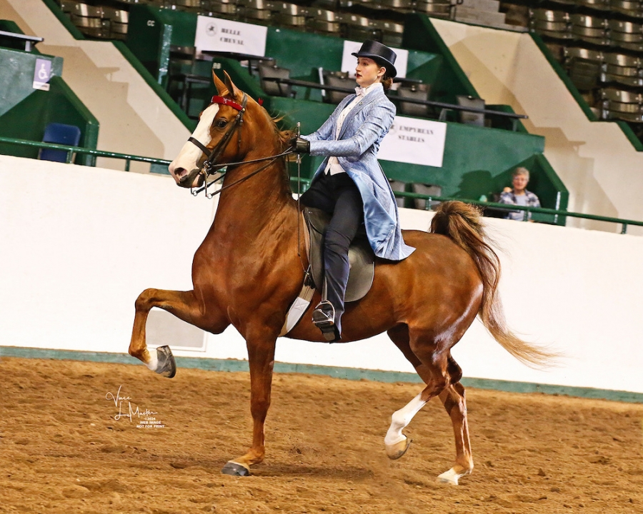 ARROWHEAD'S BACK TO THE FUTURE