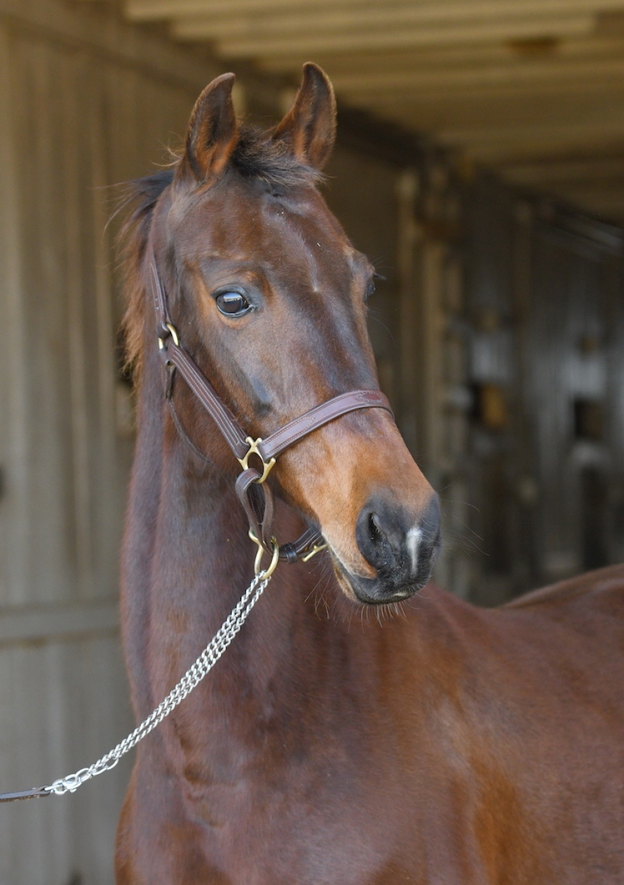 THANKS FOR LAST NIGHT!